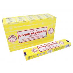 Satya Divine Blessings 15 grams
