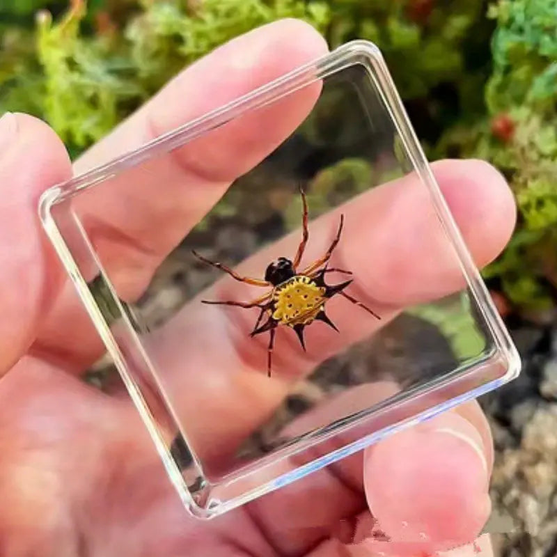 Resin Spider Incense Holder Burner - Unique Gift!