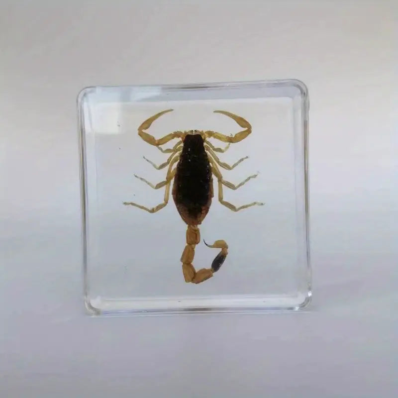 1pc Hand Made Resin Yellow Scorpion Incense Holder Burner, Square Resin Insect Animal Specimen Amber Artifact