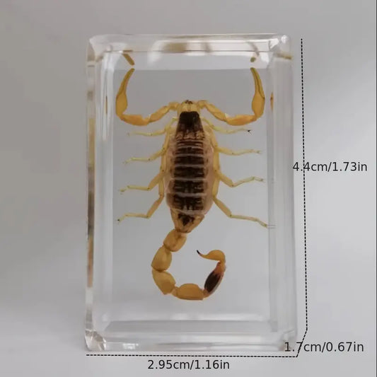 Scorpion Incense Holder Scorpio Zodiac